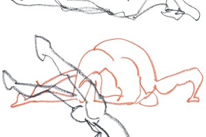 human body - composition