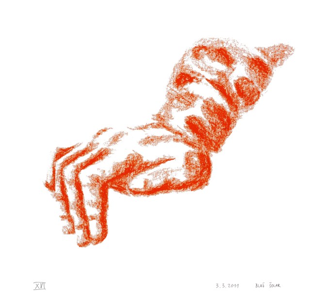 human body - close up