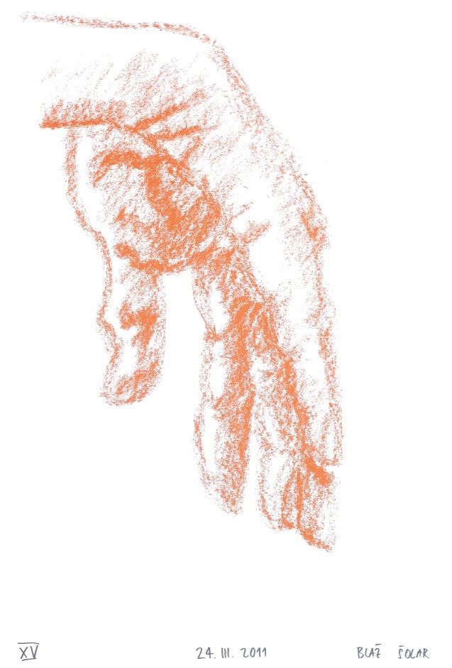 human body - close up